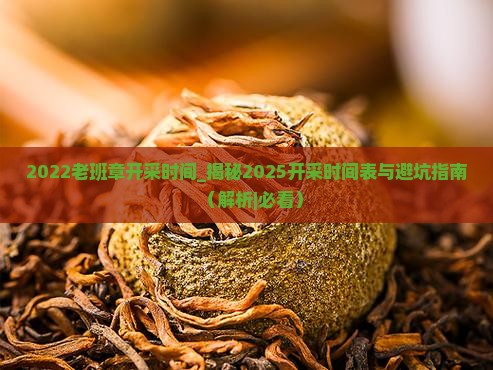 2022老班章开采时间