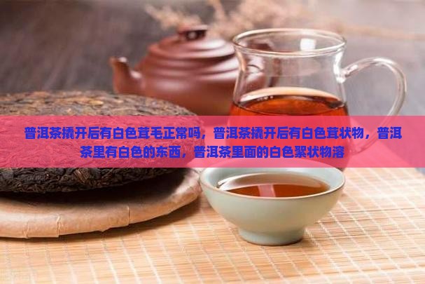 普洱茶撬开后有白色茸