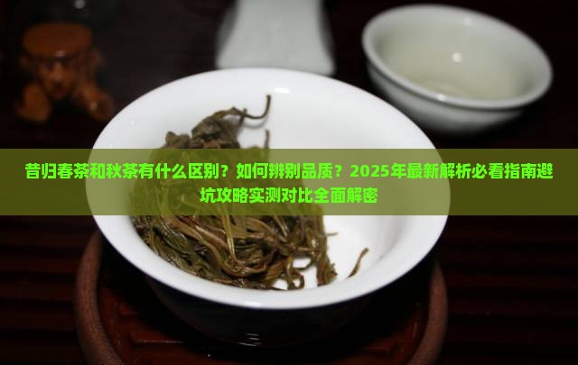 昔归春茶和秋茶的分别