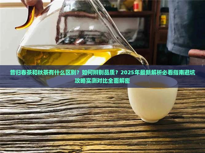 昔归春茶和秋茶的分别