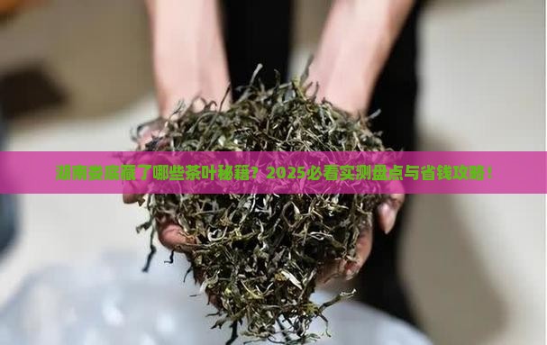 湖南娄底有什么茶叶