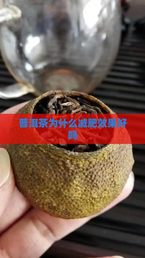 普洱茶为什么减肥效果好吗
