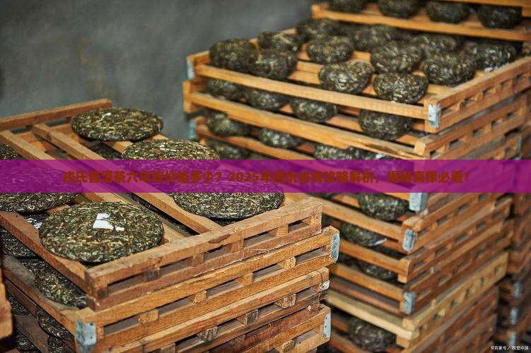 戎氏普洱茶六年陈价格