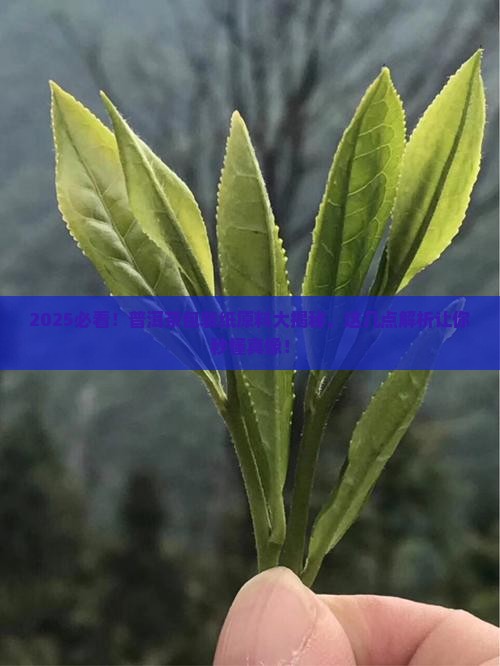 普洱茶包装纸原料是什么