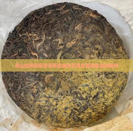 茶山姑娘原版普洱茶