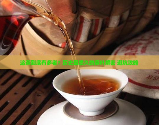 历史最悠久的茶叶