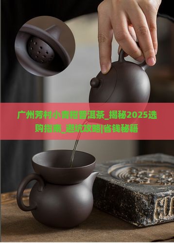 广州芳村小青柑普洱茶