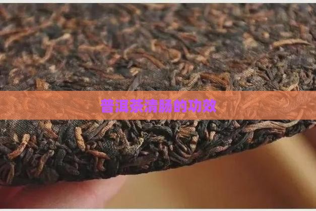 普洱茶清肠的功效