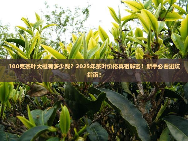 100克茶叶大概有多少钱 100克茶叶大概有多少钱