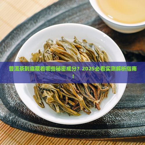 普洱茶组成成分有哪些