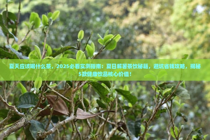 夏天应该喝什么茶