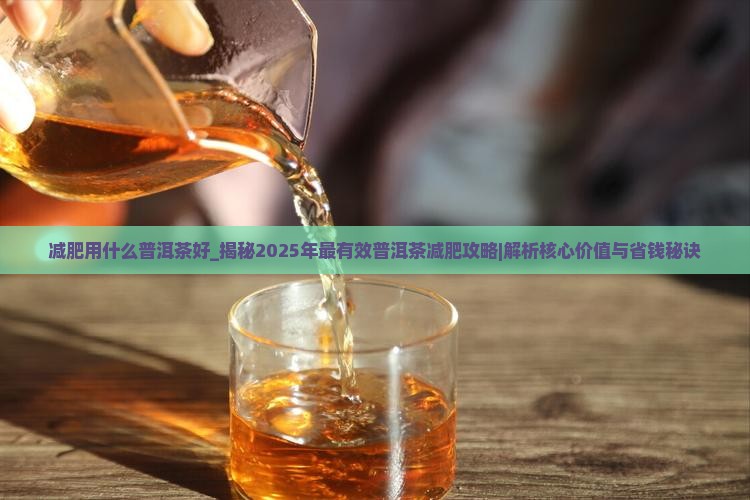 减肥用什么普洱茶好