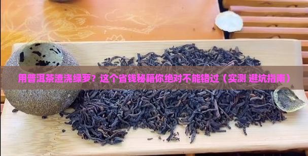用普洱茶渣浇绿萝