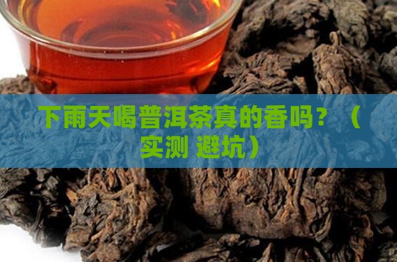 下雨喝普洱茶好吗