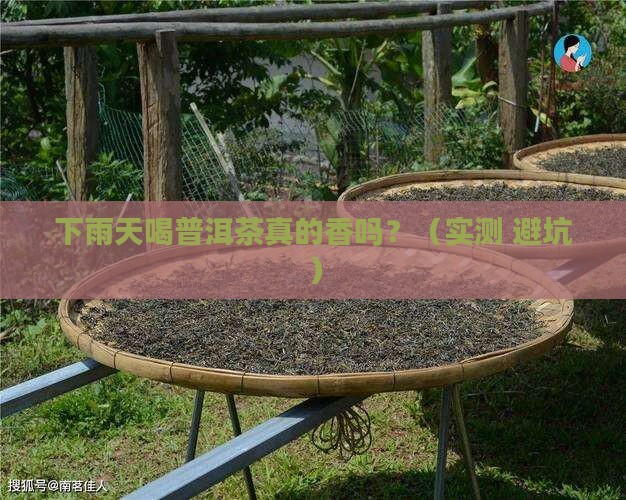 下雨喝普洱茶好吗