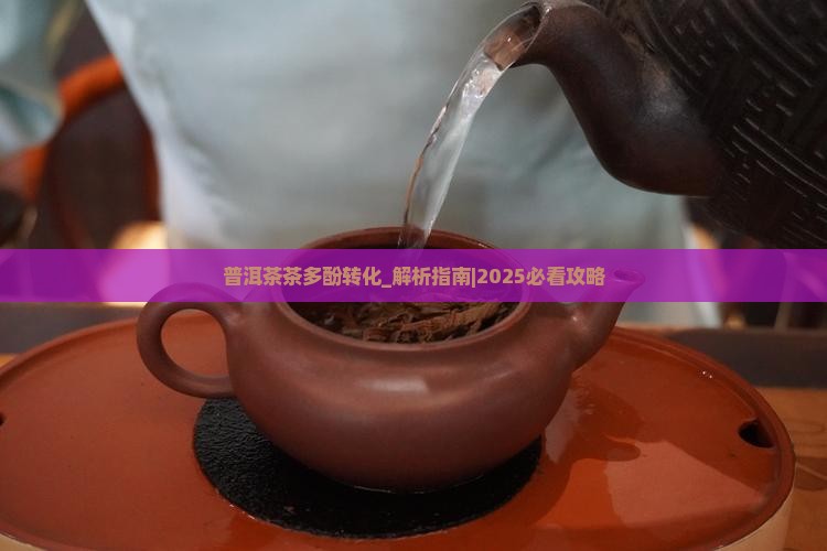 普洱茶茶多酚转化
