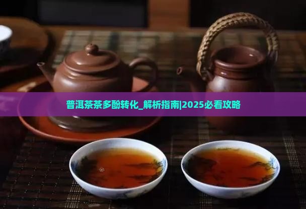 普洱茶茶多酚转化