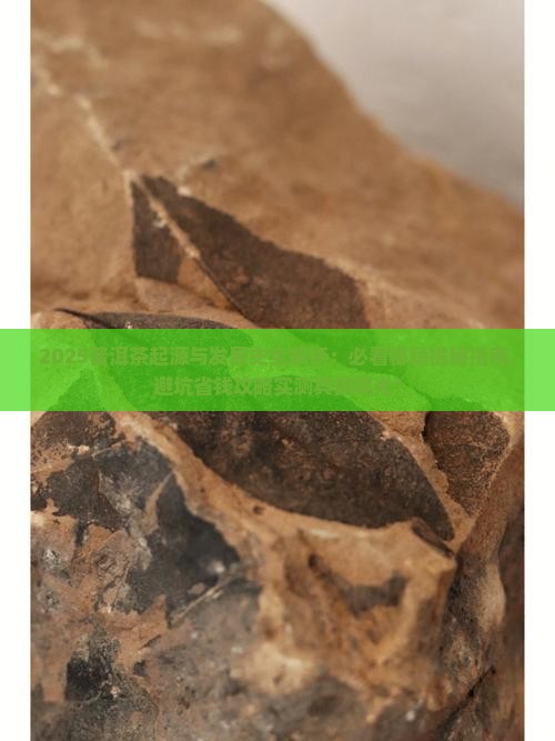普洱茶的起源和发展史文献研究