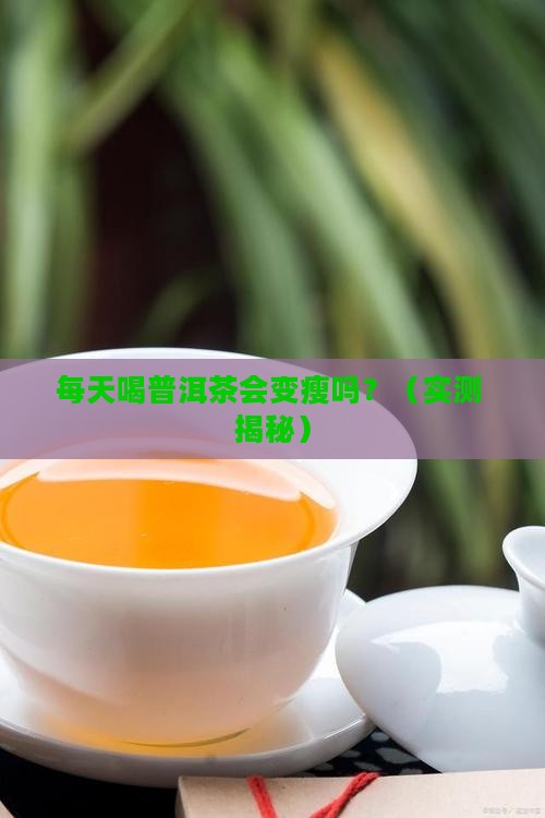 每天喝普洱茶变化