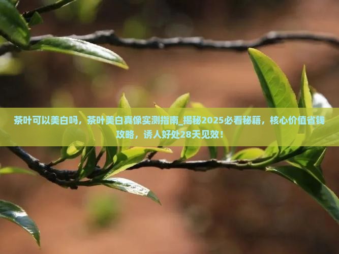 茶叶可以美白吗