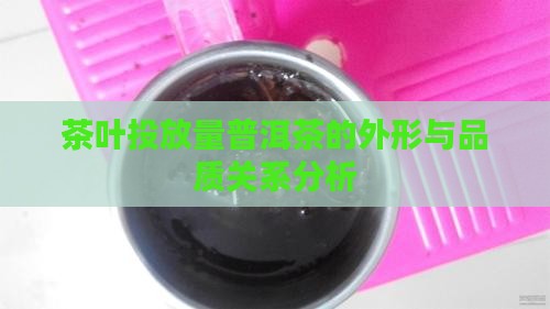 茶叶投放量普洱茶的外形