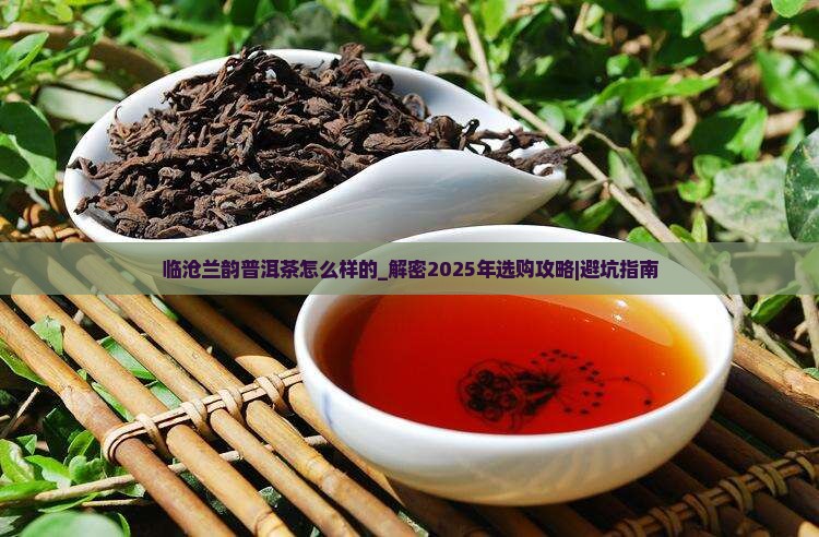 临沧兰韵普洱茶怎么样的
