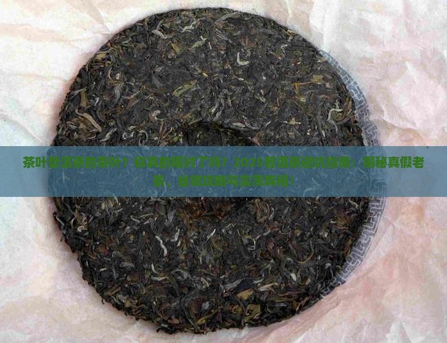 茶叶普洱茶的茶叶