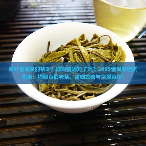 茶叶普洱茶的茶叶