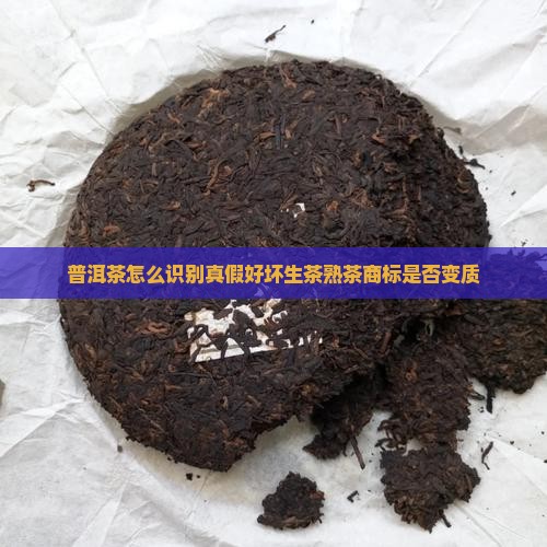 普洱茶怎么识别