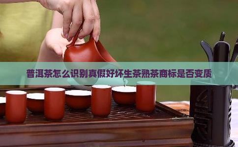 普洱茶怎么识别