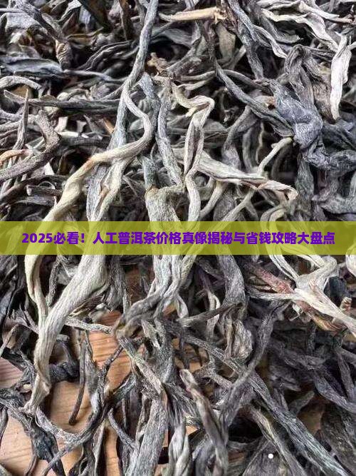 人工普洱茶多少钱