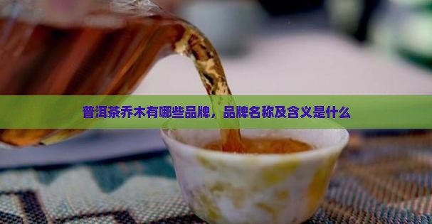 普洱茶乔木有哪些品牌