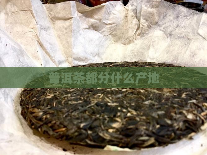 普洱茶都分什么产地