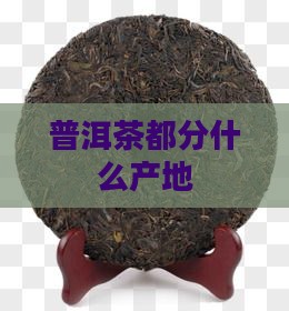 普洱茶都分什么产地