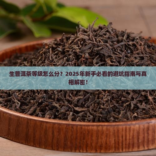 生普洱茶的等级划分