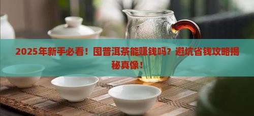 囤普洱茶能赚钱吗