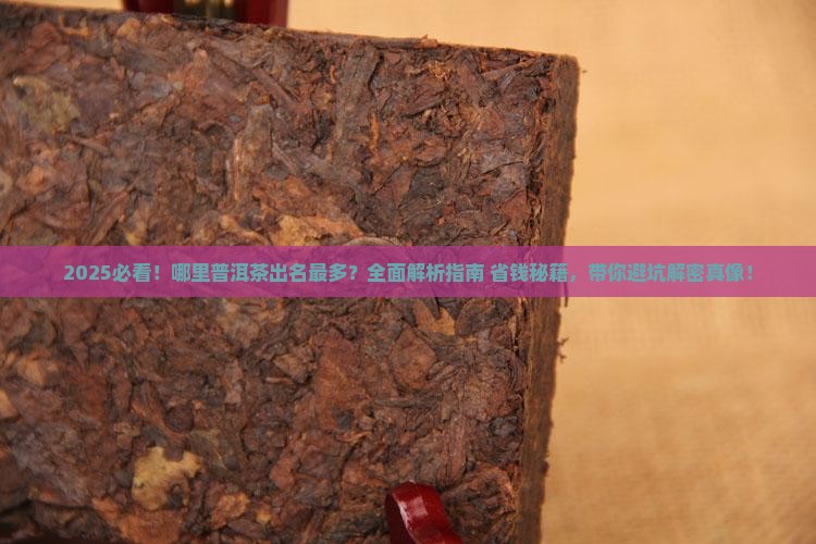 哪里普洱茶出名最多