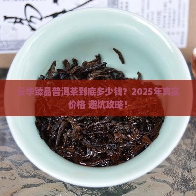 云华臻品普洱茶什么价格