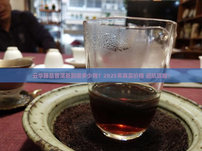 云华臻品普洱茶什么价格