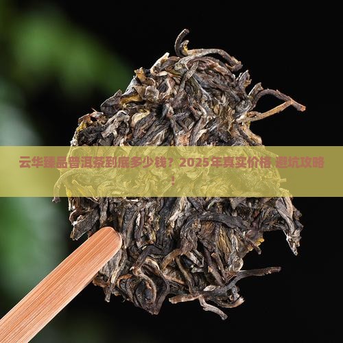 云华臻品普洱茶什么价格