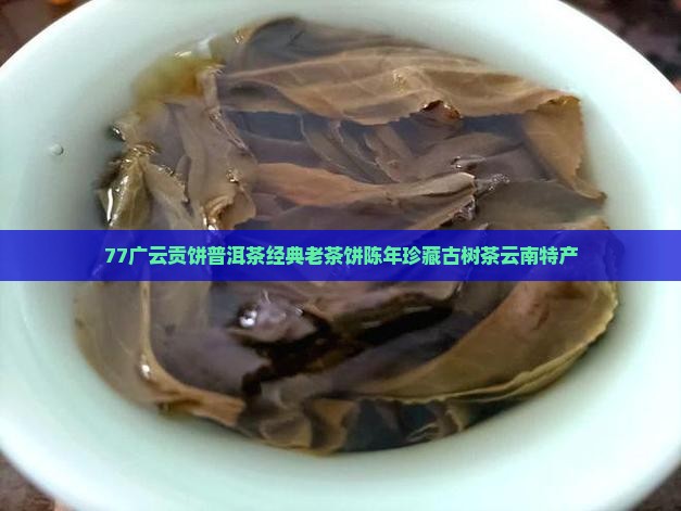 77广云贡饼普洱茶