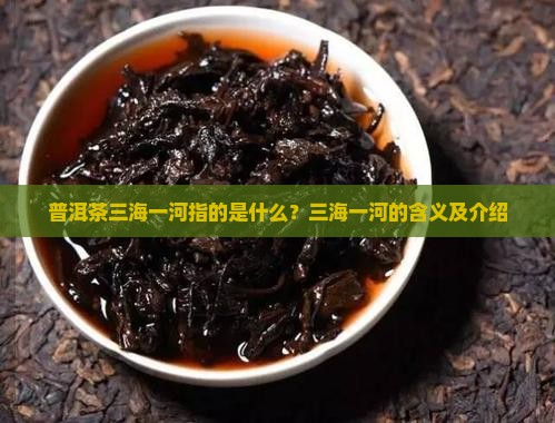 普洱茶三海一河指的是什么