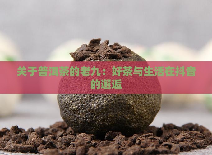 关于普洱茶的抖音