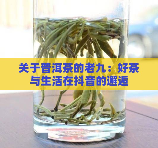 关于普洱茶的抖音