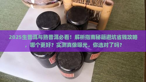 生普洱茶好或者熟谱尔茶好