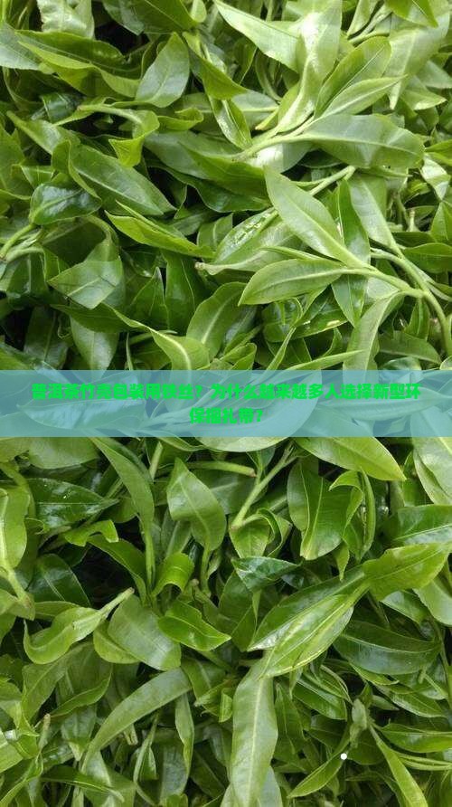 普洱茶竹壳包装用铁丝