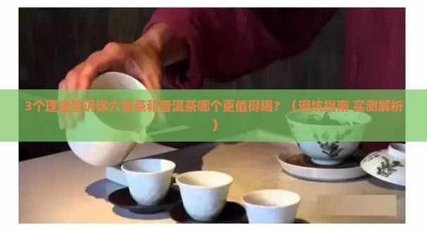 六宝茶和普洱茶哪个好一些