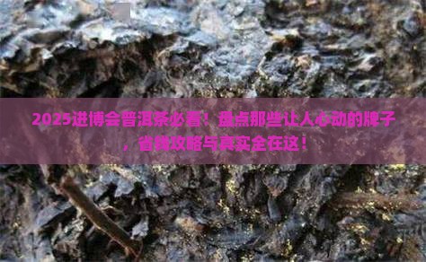 进博会普洱茶有哪些牌子
