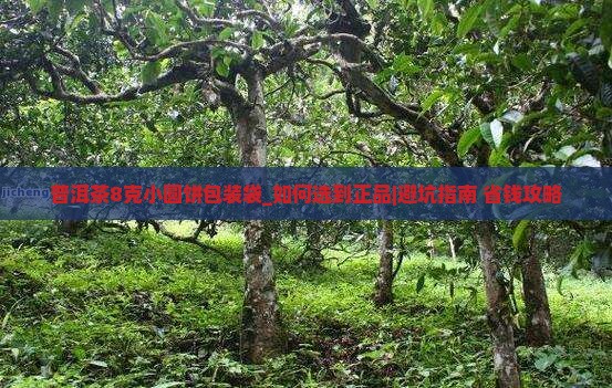 普洱茶8克小圆饼包装袋