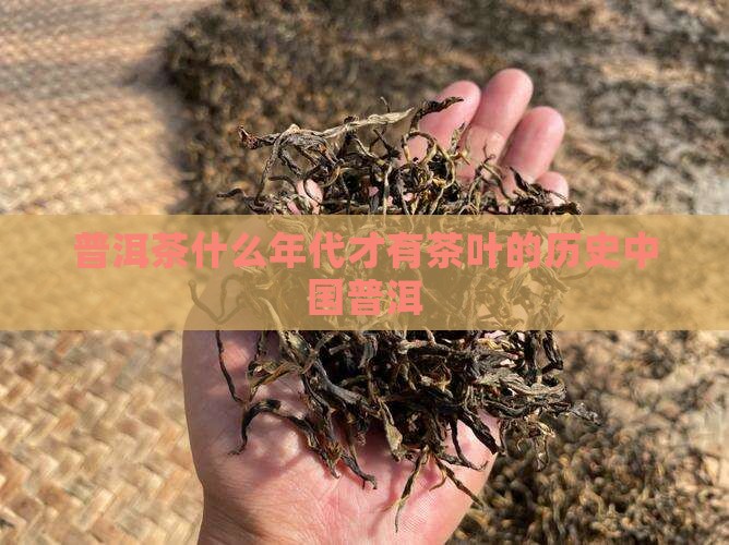 普洱茶什么年代才有茶叶